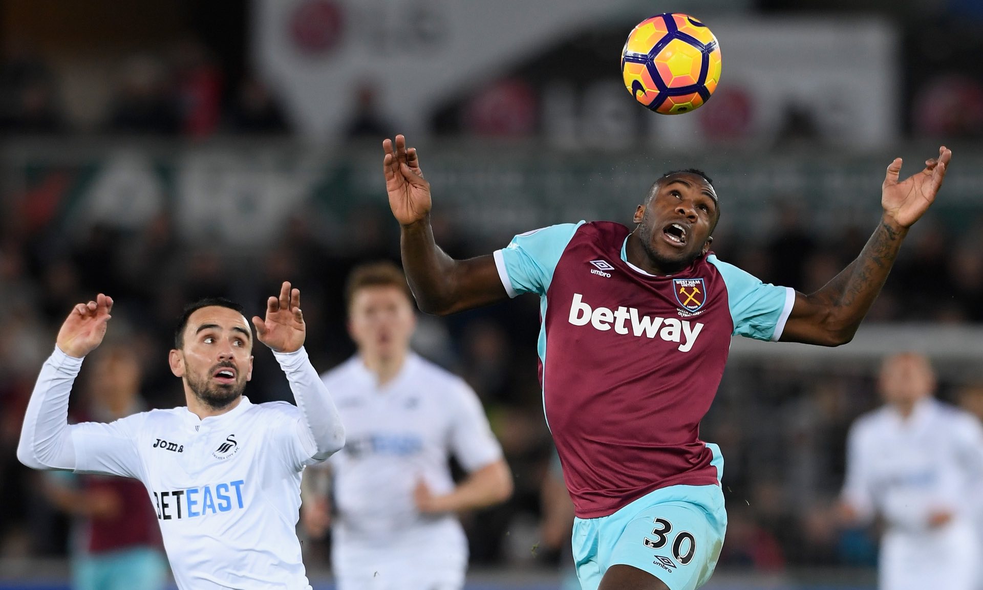 易被搜索引 易被搜索引